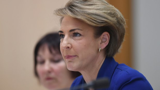 Michaelia Cash is calling on smaller operators to help decide how the payments reporting scheme will operate. 