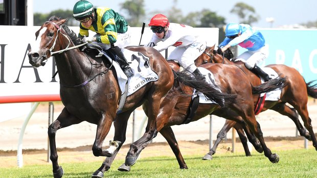 Kusciuszko favourite:  Care To Think wins Magic Millions Cup.