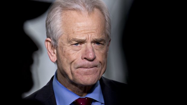 'Two words: second opinion': Economist Peter Navarro, Trump's trade adviser.