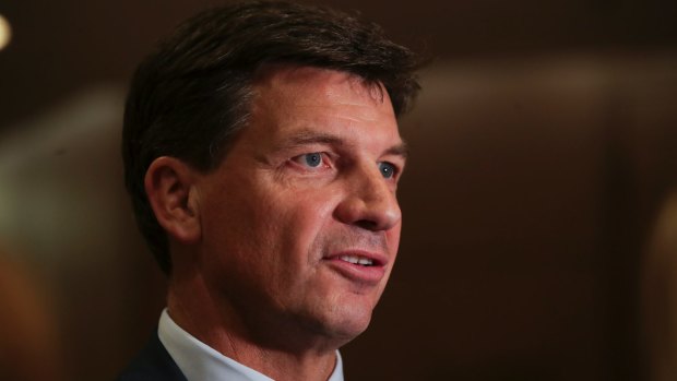 Federal energy minister Angus Taylor said the default offer "will act as a price safety net".