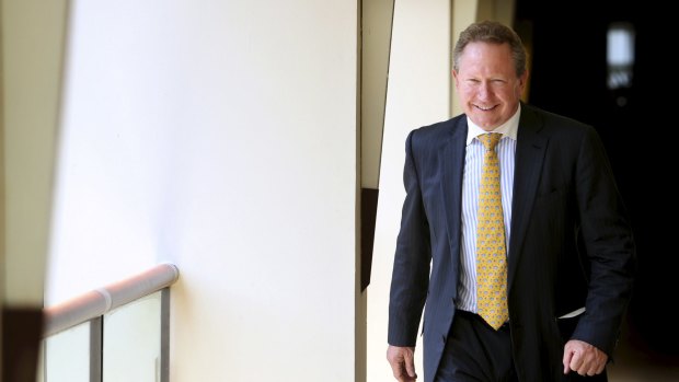 Mining magnate Andrew Forrest.