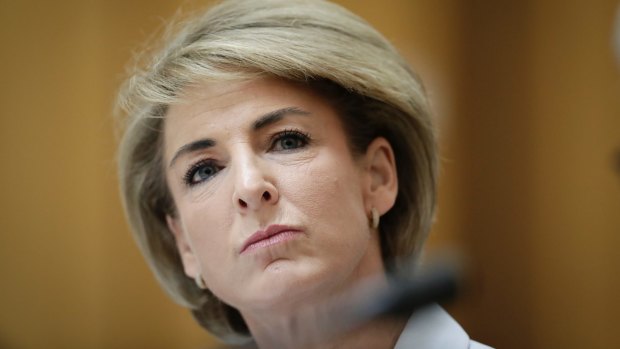 Minister for Jobs and Innovation Michaelia Cash has been under pressure over the inquiry. 