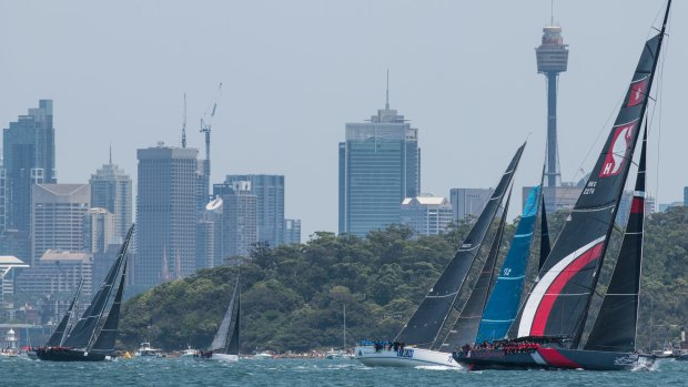 Scallywag and InfoTrack were locked in a two-horse sprint in the race out of the harbour. 