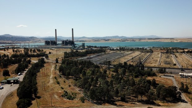 The government has called for the Liddell power station in the Hunter Valley to remain open.