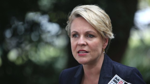 Deputy Labor leader Tanya Plibersek.