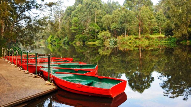 Red row boats moored at the boatshed, Lane Cove National Park.
