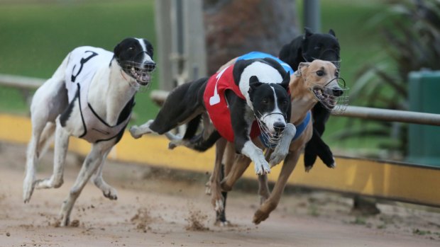 The greyhound racing industry has again been rocked by scandal after three trainers were suspended. 