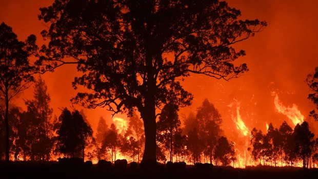 The Hillville fire that destroyed homes two weeks ago.