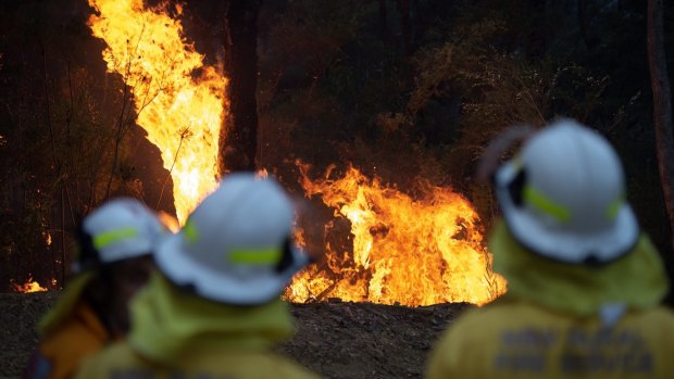 Bushfire behind homes along Park Rd, Woodford, in the Blue Mountains. 