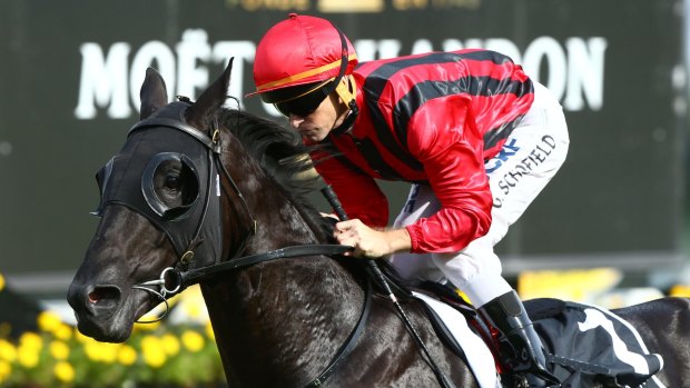 Back in grade: Prized Icon will start his spring campaign at Rosehill on Saturday.