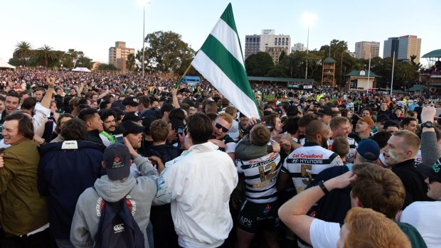 Grassroots: Close to 16,000 fans packed into North Sydney Oval for the 2017 Shute Shield final.