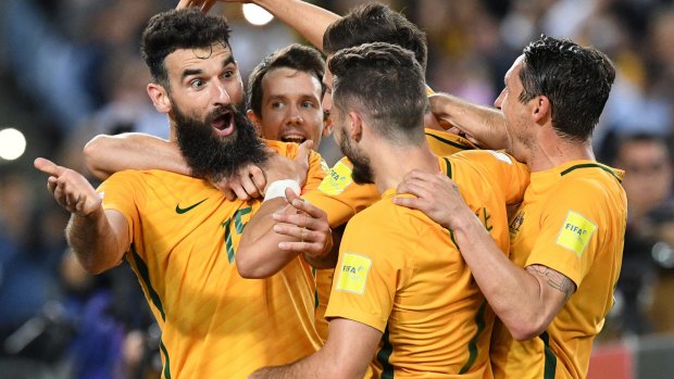 Ready for Russia: Socceroos captain Mile Jedinak, left, was disappointed with the team's showing at the 2014 World Cup.