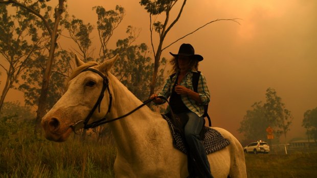 Rhonda Anderson evacuated on horseback from the Mount Larcom fire.