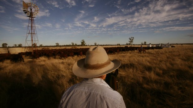 Sidney Kidman found a way to make money out of drought.