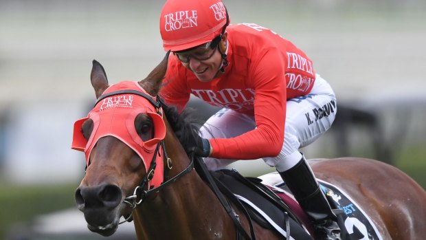 Red alert: All eyes will be on Winx but Redzel continues towards his Everest defence in The Shorts.