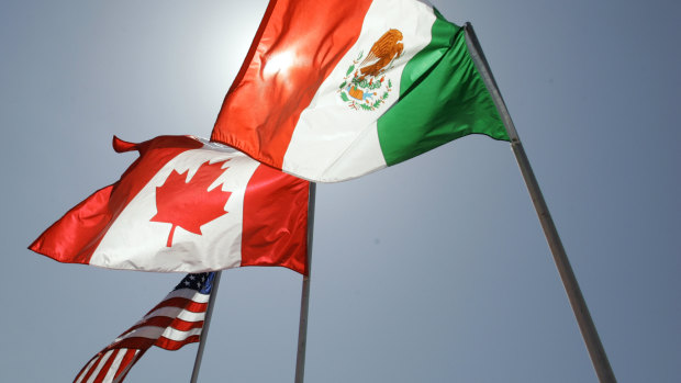An Australian woman is accused of trying to smuggle her Mexican fiancee into the US via Canada.