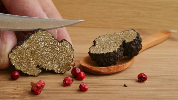 Black truffles are rare and expensive, and getting even more so.