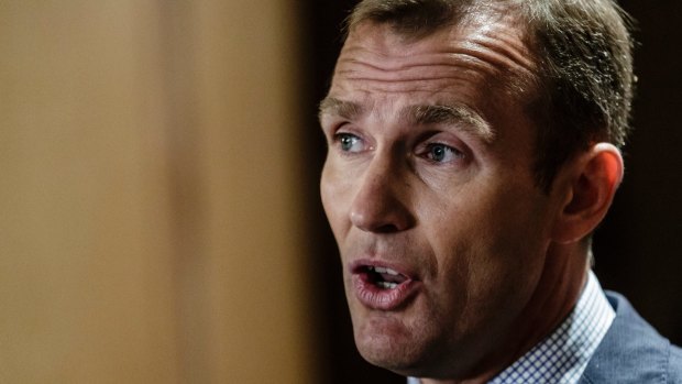 NSW Education Minister Rob Stokes says NAPLAN should be replaced 'with some urgency'.