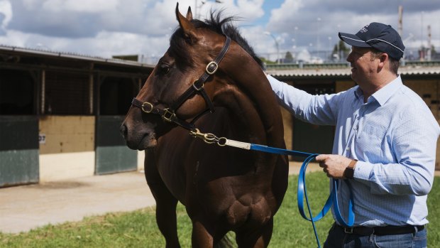 Home away from home: Horse trainer Gary Portelli  at his stables near   Warwick Farm racecourse.  