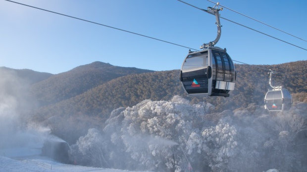 去不了国外旅游，今年冬天澳洲人将挤爆滑雪度假村