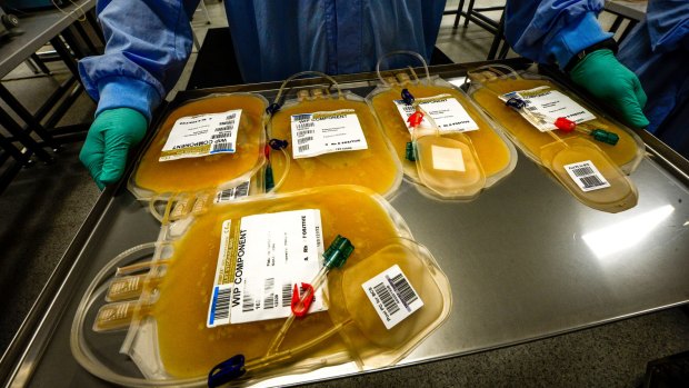 Straw-yellow plasma is seen here at Melbourne's Blood Processing Centre in 2015.