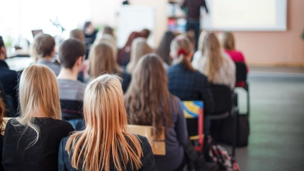 A volunteer was stood down for questioning the Stolen Generations in front of a year six class in Sydney's inner west.