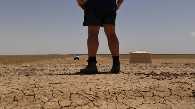 A southern irrigation group in the Murray-Darling Basin has broken ranks and criticised those in the north for leaving them to make water cuts for the environment.
