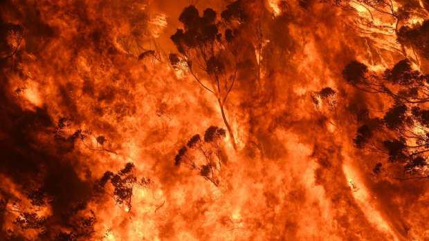 The evidence linking bushfires to climate change is overwhelming.