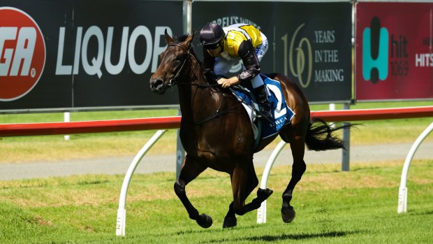   Jonker will  be out to keep The Hunter cash in Newcastle.