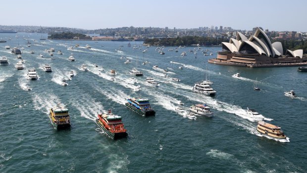 Ferries raced in Sydney Harbour during Australia Day celebrations.