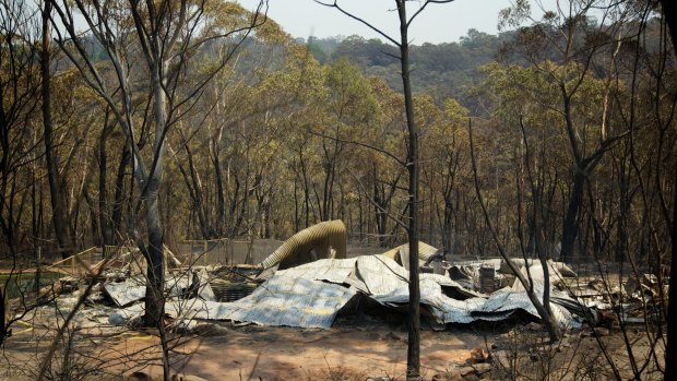 The aftermath of the Winmalee bushfire.
