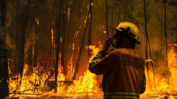NSW Rural Fire Service firefighters attempt to protect a Currowan property from fire. 