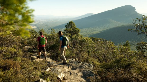 Labor pledges to build more trails  and campsites throughout Victoria if re-elected. 
