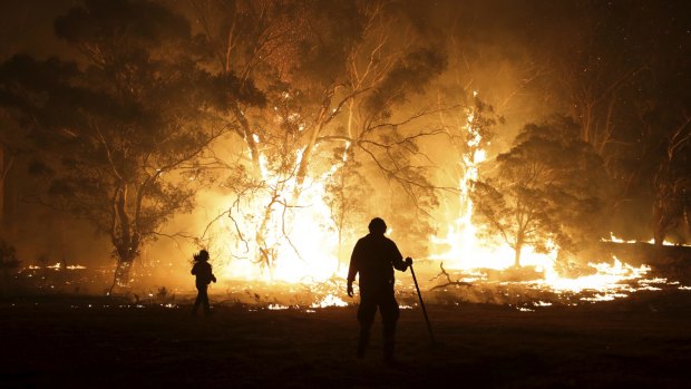 Firefighters at North Black Range northwest of Braidwood, NSW earlier this month.
