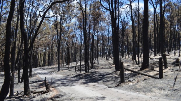 The devastating Parkerville fires of January 2014 were caused by the failure of a privately owned power pole.