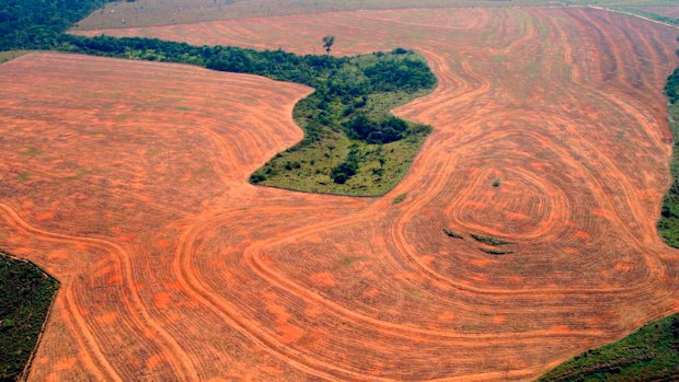 Aereal view of an area deforestated by soybean farmers in Novo Progreso, Para, Brazil, in 2004.