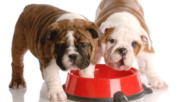 The dog food has been pulled from shelves as Black Hawk investigates.