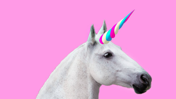 "Perhaps there’s something specific about the unicorn that tells us about what and where we hope to escape to."