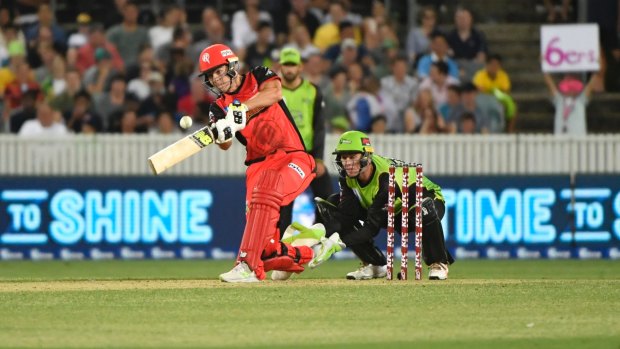 Jack Wildermuth of the Renegades bats during the Big Bash League clash with Sydney Thunder at Manuka Oval.