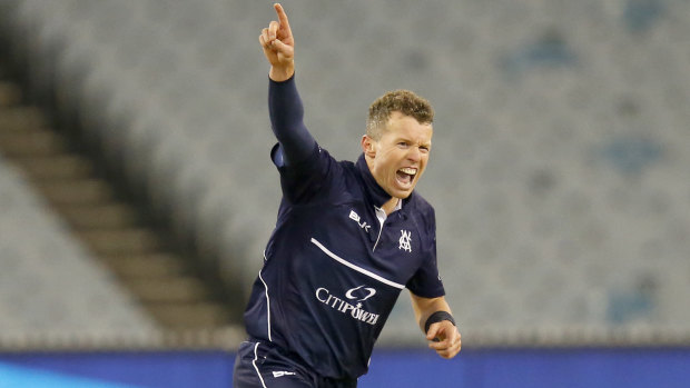 Keeping pace: Veteran Peter Siddle continues to shine with the ball.