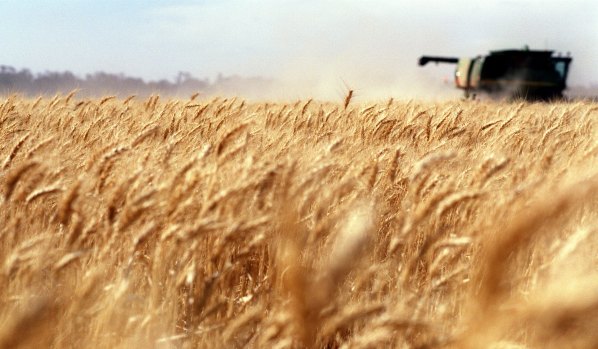 Grain farmers could support LTAP's proposed takeover of Graincorp.