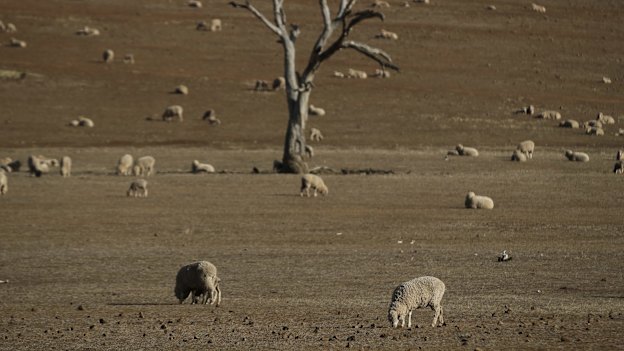 Changing weather conditions will change the way we farm, suggests Dr Michael Robertson.
