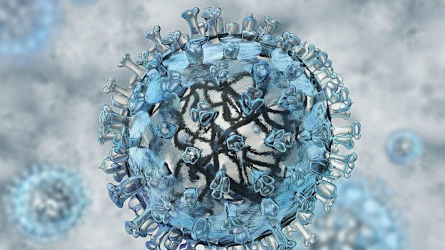 A model of a flu virus.