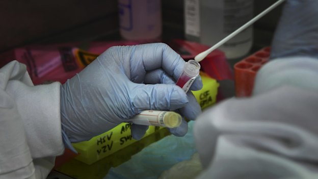 A coronavirus testing lab, Prince of Wales Hospital, Randwick, Sydney. 
