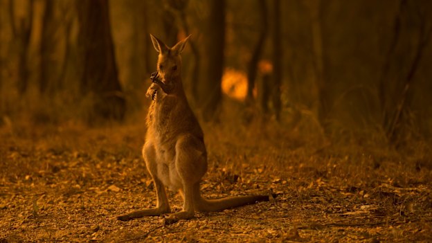 Photo: Wolter Peeters.