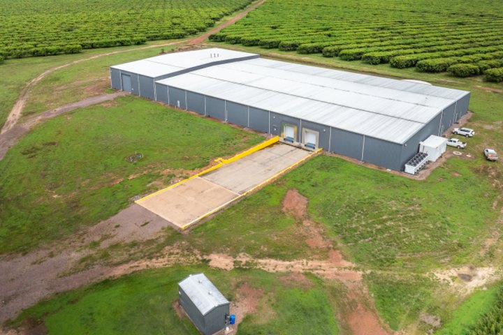 The property includes a huge packing shed spanning over half a hectare.