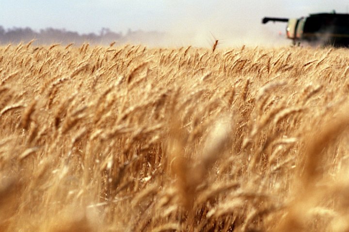 The agricultural investment arm of the Mormon Church has acquired a cropping aggregation in central western NSW for $38 million.