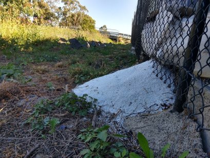 A bag full of nurdles – plastic in its embryonic form – splits open and spills from one of the riverside sites surveyed in Melbourne.
