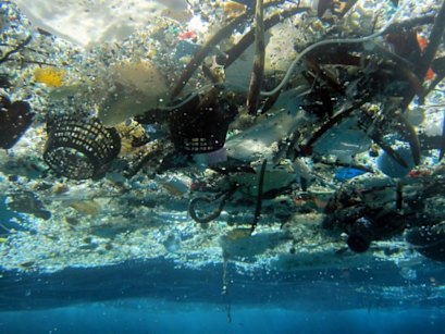 This 2008 photo by NOAA Pacific Islands Fisheries Science Center shows plastics debris in Hanauma Bay, Hawaii. 