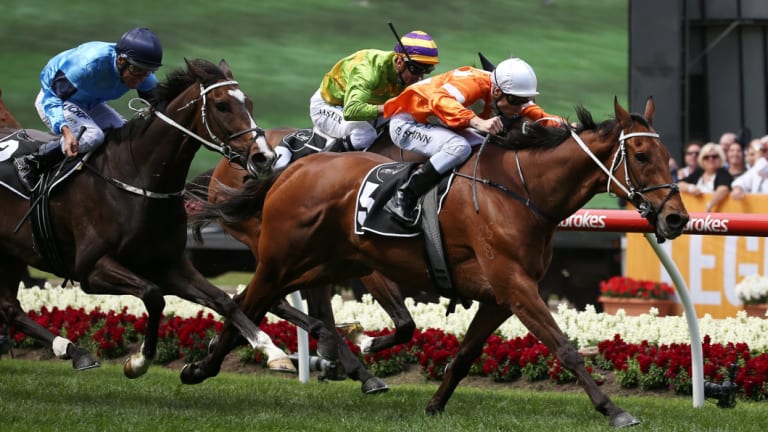 Oldie but a goodie: Who Shot Thebarman will run from the unluckiest barrier. 